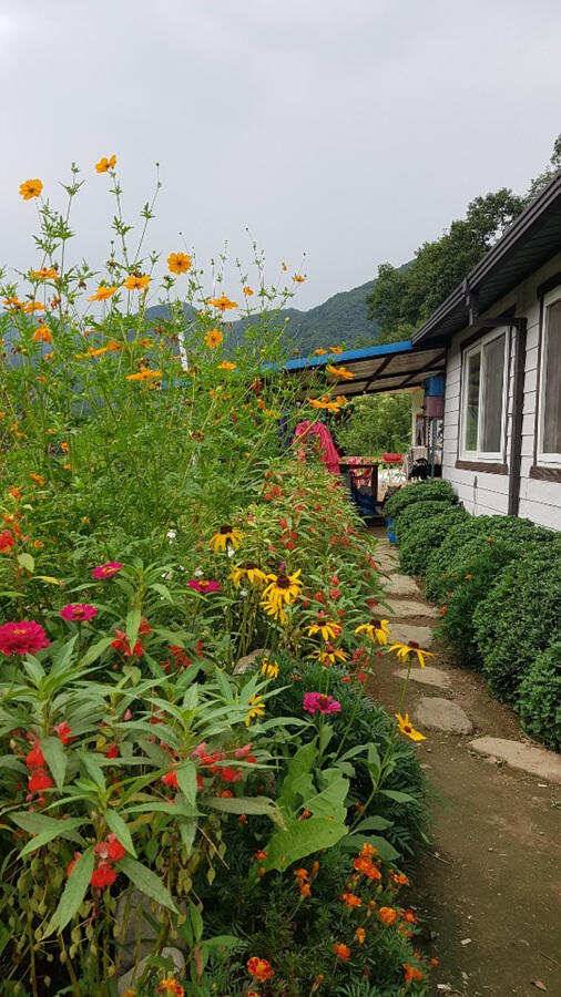 명서낚시터 44cm 대물붕어 소식 (조황조행기 - 특파원조황)