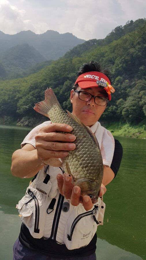 명서낚시터 395cm 외 허리급 조황입니다 (조황조행기 - 특파원조황)