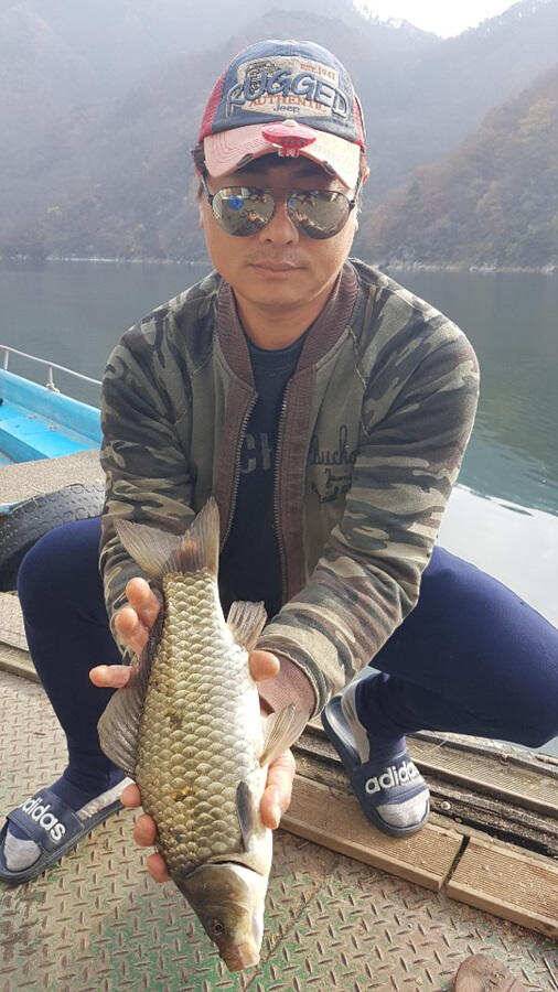 막바지를 달리고 있는 붕어낚시 명서낚시터 조황입니다 (조황조행기 - 특파원조황)
