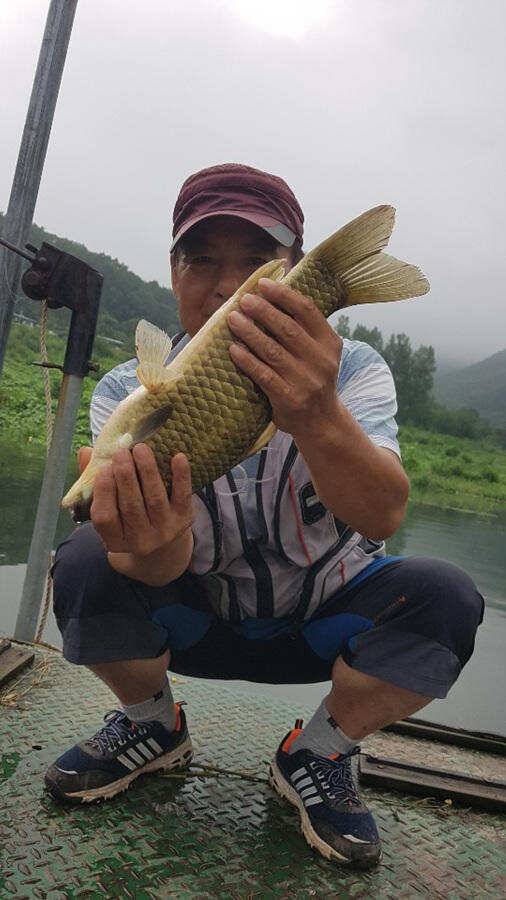 명서낚시터 4짜에 허리급 월척조황 (조황조행기 - 특파원조황)