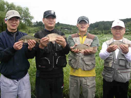 청도권 수야지 유등연지 풍락지 안태지 조황입니다 (조황조행기 - 특파원조황)
