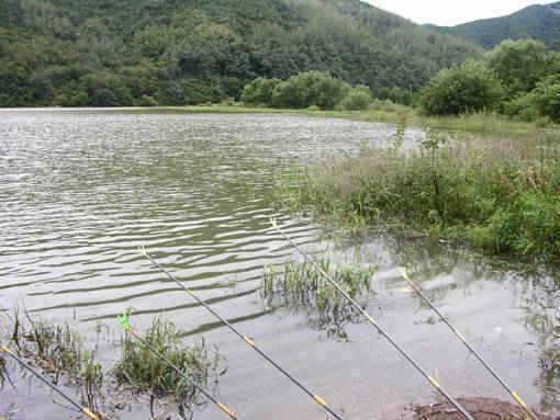청도권 수야지 유등연지 풍락지 안태지 조황입니다 (조황조행기 - 특파원조황)