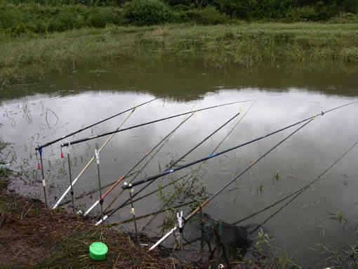 청도권 수야지준척60여수유등연지358cm 외월척7수 풍락지조황입니다 (조황조행기 - 특파원조황)