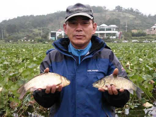 청도권 수야지준척60여수유등연지358cm 외월척7수 풍락지조황입니다 (조황조행기 - 특파원조황)