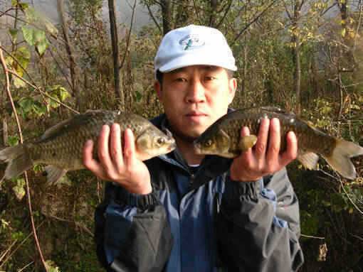 청도권 지난조황 과 가볼만한 소류지입니다 (조황조행기 - 특파원조황)