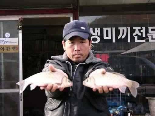 청도권 지난주 조황과 유등연지 풍락지 신남지 얼음 (조황조행기 - 특파원조황)