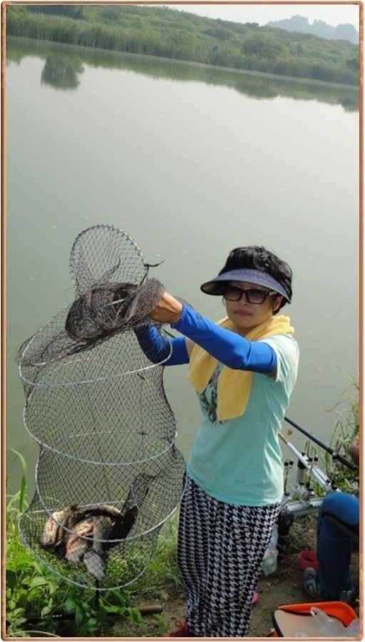 진위천 조황 소식 (조황조행기 - 특파원조황)