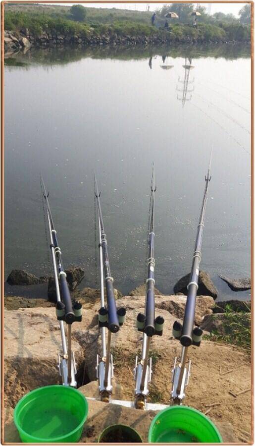 진위천 조황 소식 (조황조행기 - 특파원조황)