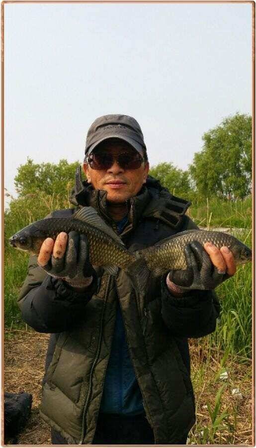 진위천 조황 소식 (조황조행기 - 특파원조황)