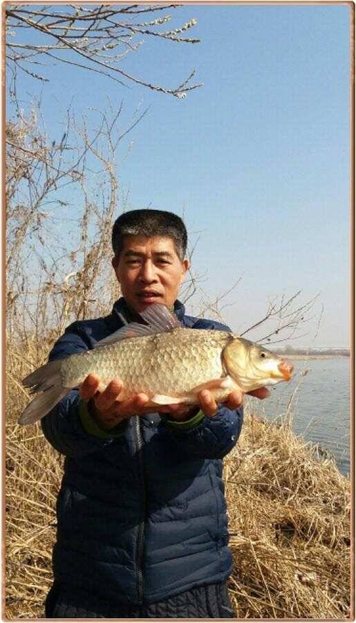 진위천 조황 소식 (조황조행기 - 특파원조황)