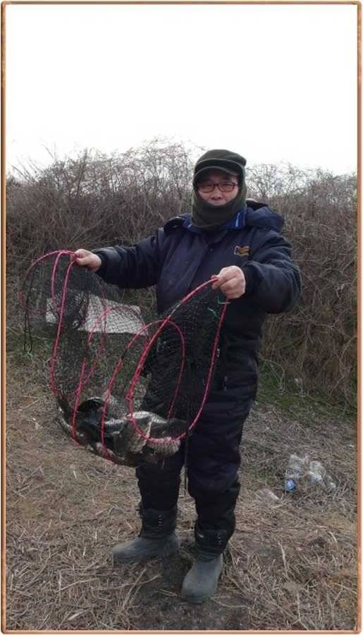진위천 조황 소식 (조황조행기 - 특파원조황)