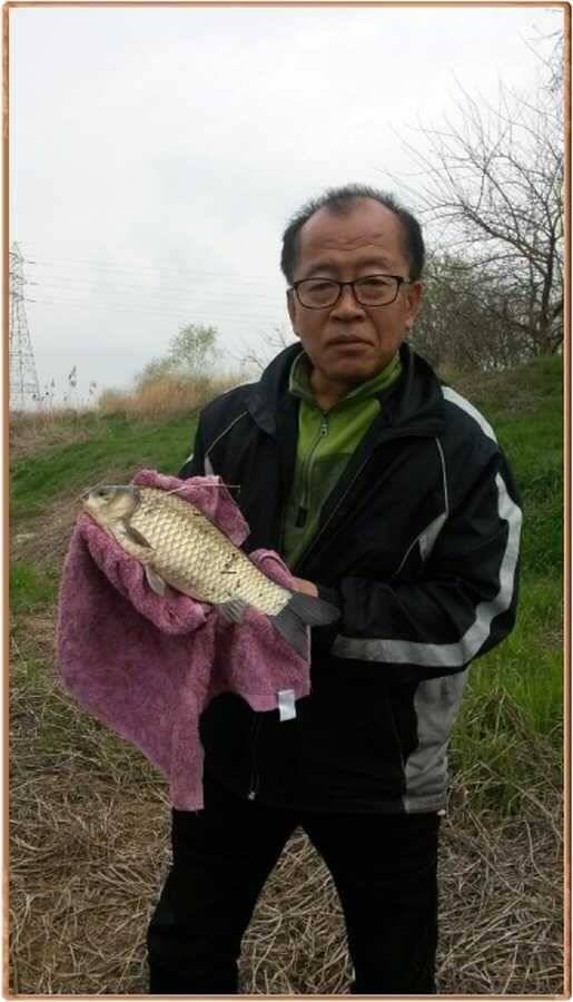 진위천 조황 소식 (조황조행기 - 특파원조황)