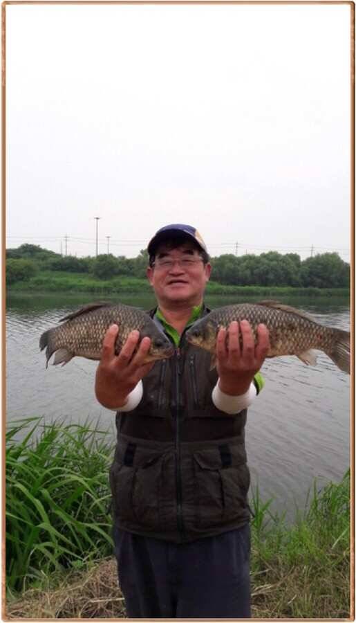 진위천 조황 소식 (조황조행기 - 특파원조황)