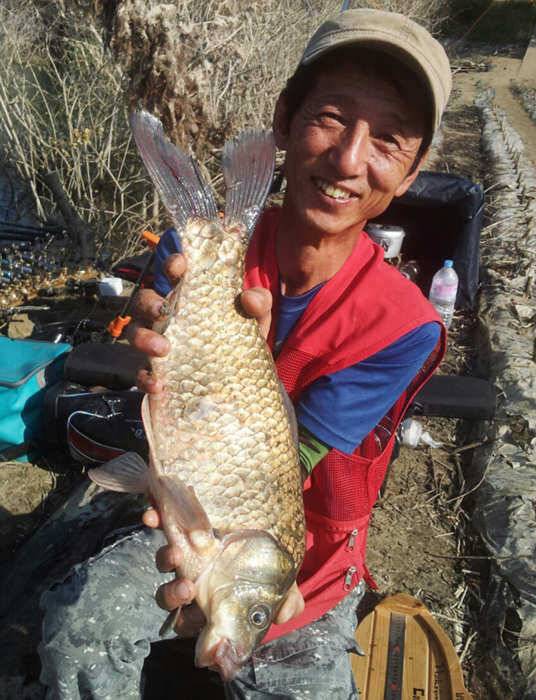 추평지 48cm 대물붕어 하천낚시터 375cm 서운낚시터 장어소식 (조황조행기 - 특파원조황)