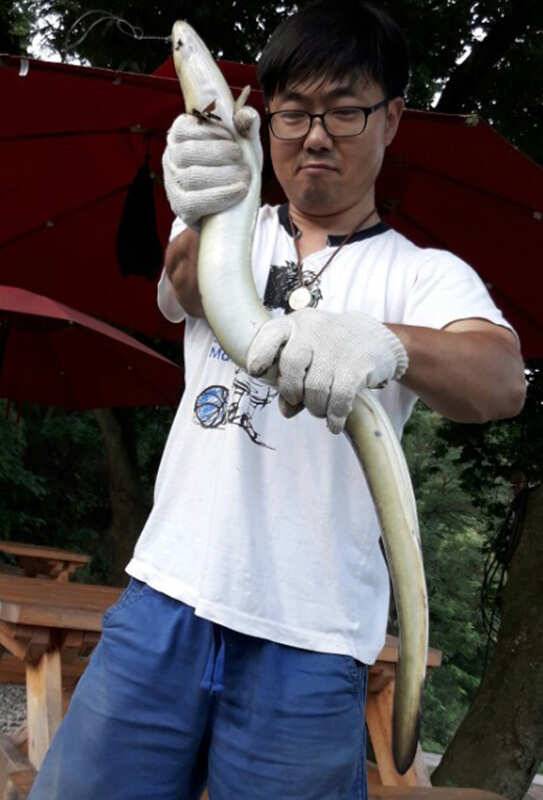 꽃바위낚시터 14kg 대물장어 (조황조행기 - 특파원조황)