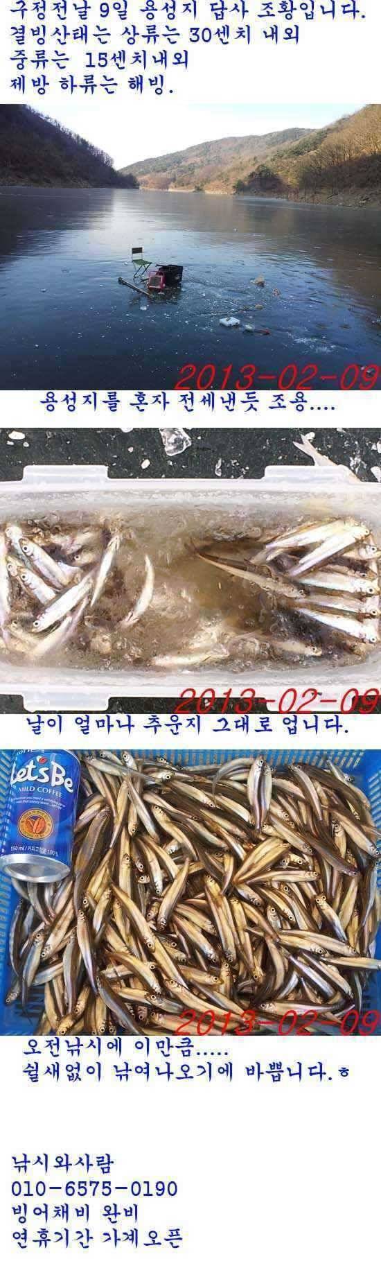경산 용성지 빙질안전 빙어낚시굿 (조황조행기 - 특파원조황)