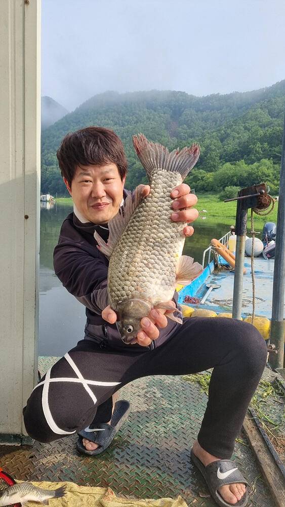 명서낚시터 4짜와 마릿수 붕어 장어 종점 낚시터 42cm 대물붕어 조황 소식입니다 (조황조행기 - 특파원조황)