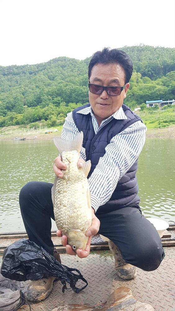 하천 48cm 초대물로 시즌 출발 명서도 4짜 대물붕어 조황 (조황조행기 - 특파원조황)