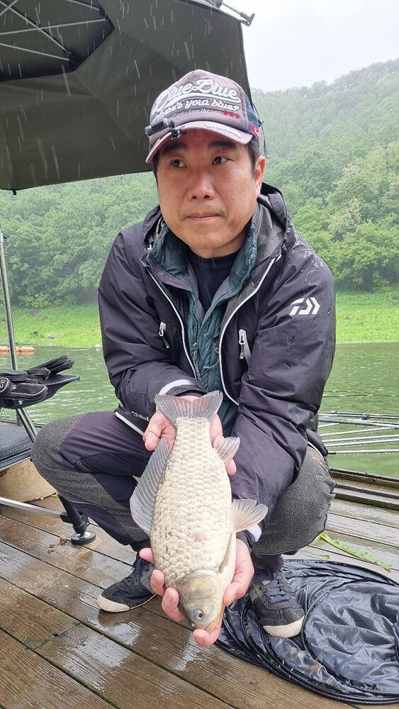 명서낚시터 4짜와 마릿수 붕어 장어 종점 낚시터 42cm 대물붕어 조황 소식입니다 (조황조행기 - 특파원조황)