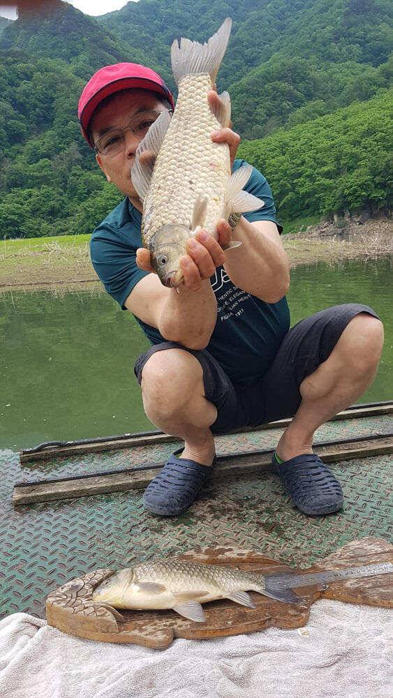 하천 48cm 초대물로 시즌 출발 명서도 4짜 대물붕어 조황 (조황조행기 - 특파원조황)