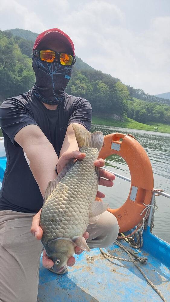 명서낚시터 4짜와 마릿수 붕어 장어 종점 낚시터 42cm 대물붕어 조황 소식입니다 (조황조행기 - 특파원조황)