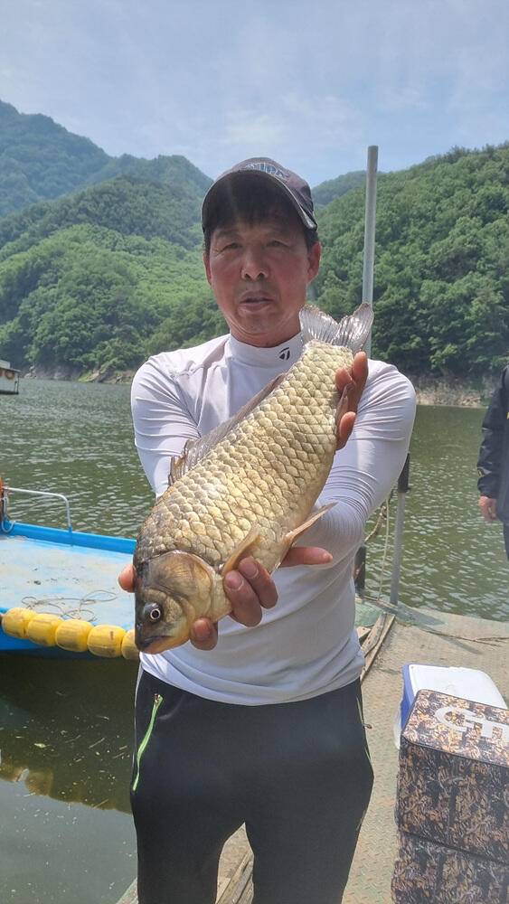 명서낚시터 4짜와 마릿수 붕어 장어 종점 낚시터 42cm 대물붕어 조황 소식입니다 (조황조행기 - 특파원조황)
