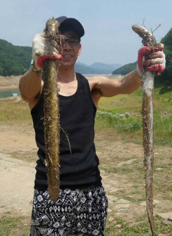 목벌리 주말 붕어 장어조황 소식입니다 (조황조행기 - 특파원조황)