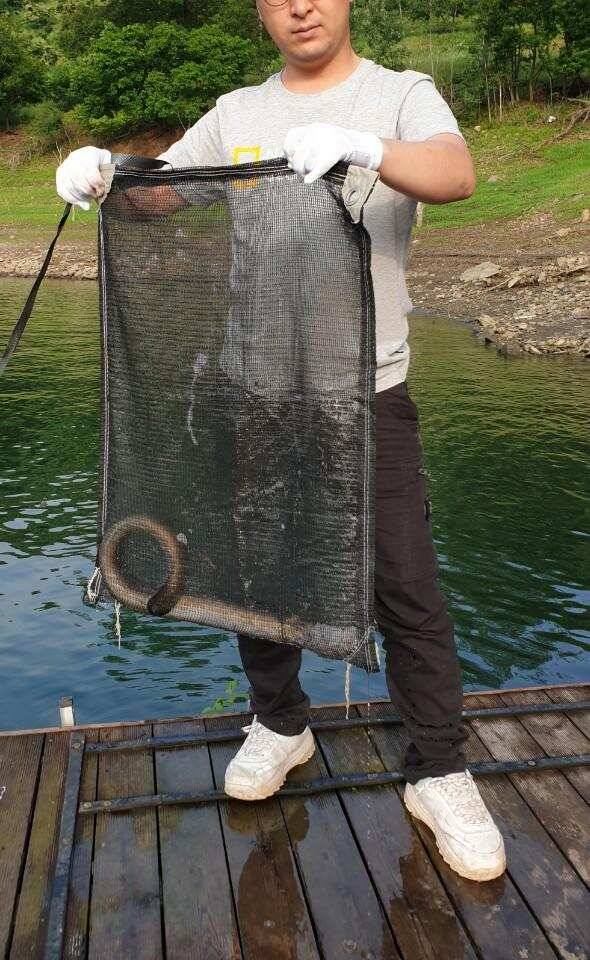 솔 42 43cm 대물붕어 목벌에도 4짜 꽃바위 키로급장어 허리급 붕어조황 (조황조행기 - 특파원조황)