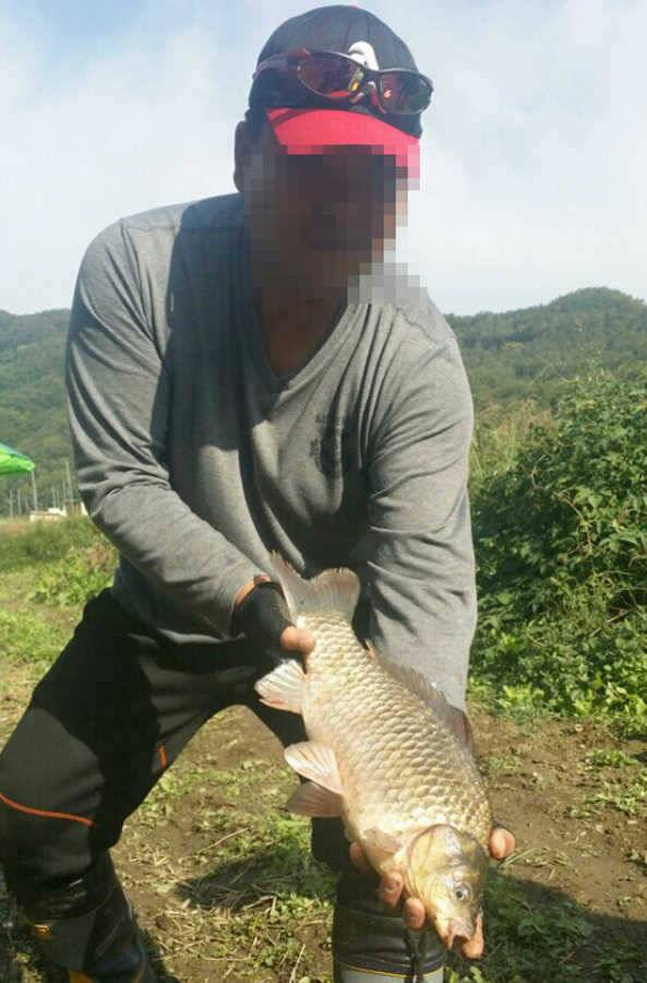 명서낚시터 46cm 대물붕어 소식 (조황조행기 - 특파원조황)
