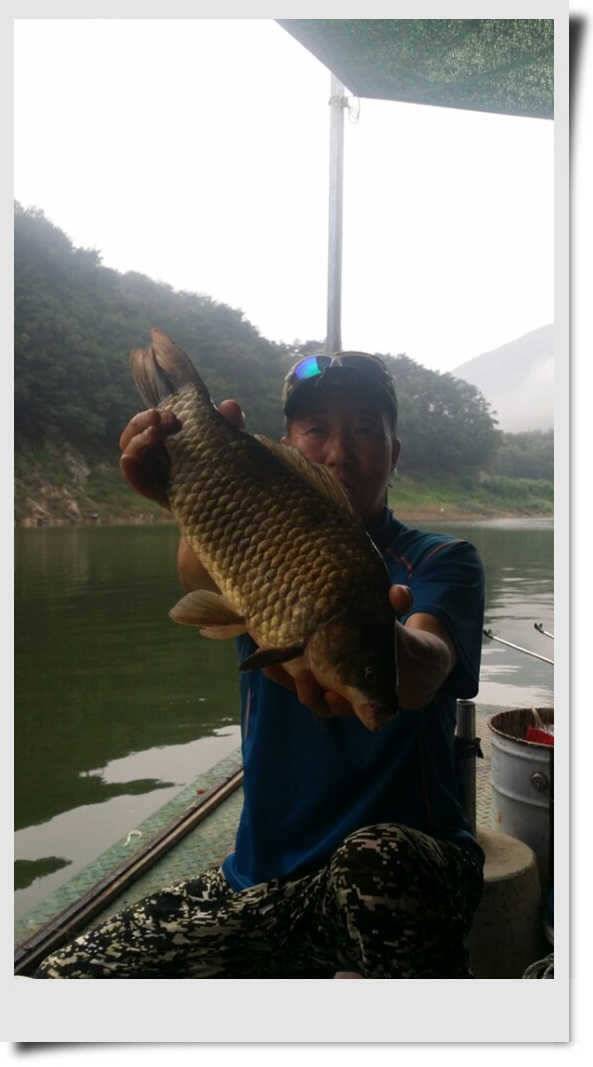 충주호 명서 4짜붕어 목벌 대물장어 (조황조행기 - 특파원조황)