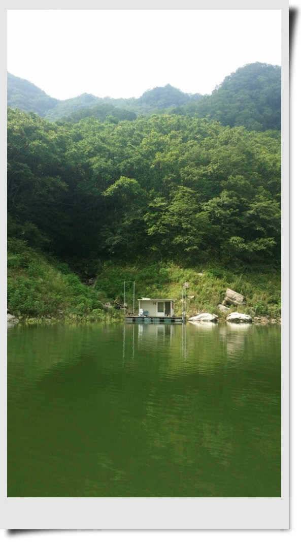 충주호 명서 4짜붕어 목벌 대물장어 (조황조행기 - 특파원조황)