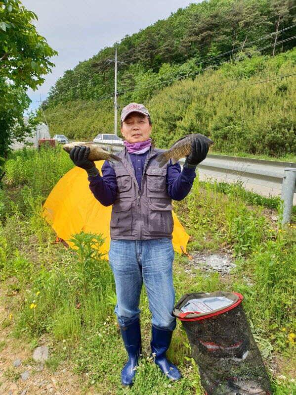521 안면도권 저수지 대물붕어 조황 (조황조행기 - 특파원조황)