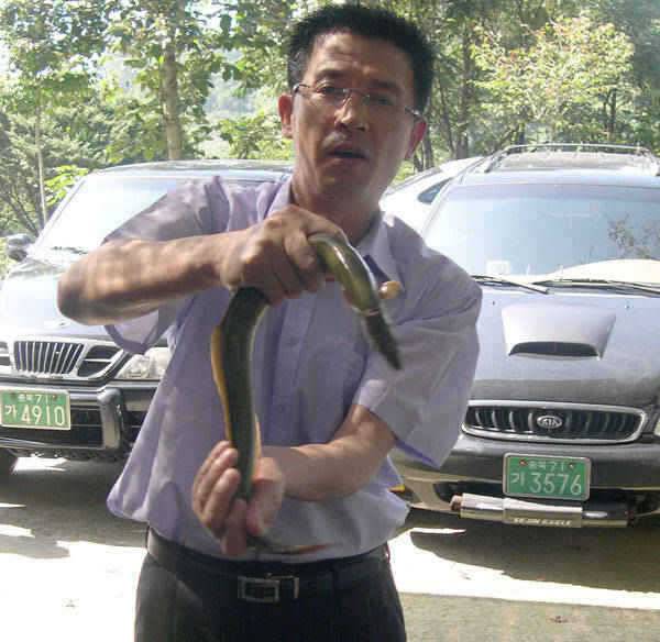 충주호 붕어 장어조황 소식입니다 (조황조행기 - 특파원조황)