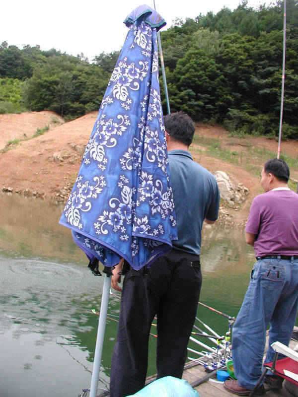 충주호 월척에 마릿수붕어에 1kg급의 장어두수 (조황조행기 - 특파원조황)