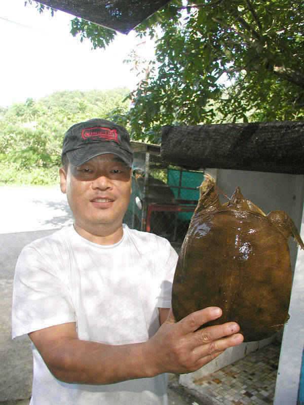 충주호 42cm 455cm 대물붕어 소식입니다 (조황조행기 - 특파원조황)