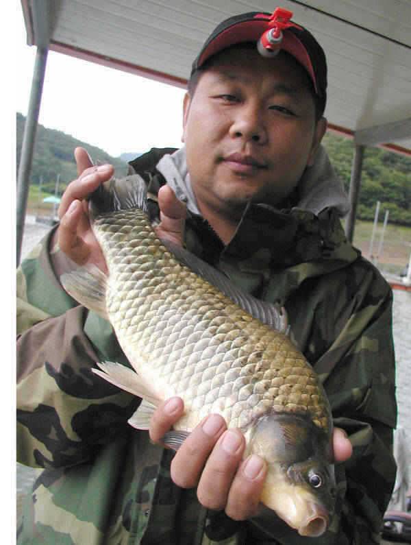 충주호 4자 대물 행진은 이어지고 하천 명서낚시터 소식 (조황조행기 - 특파원조황)