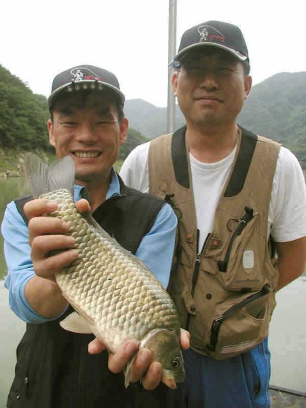 2122일 충주호 조황소식 및 5자쏘가리의 모습 (조황조행기 - 특파원조황)