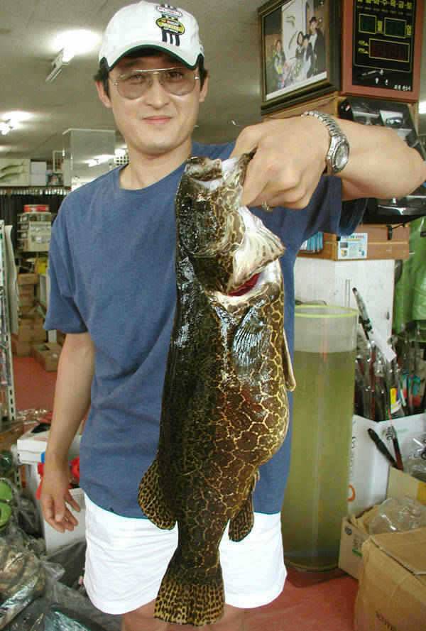 2122일 충주호 조황소식 및 5자쏘가리의 모습 (조황조행기 - 특파원조황)