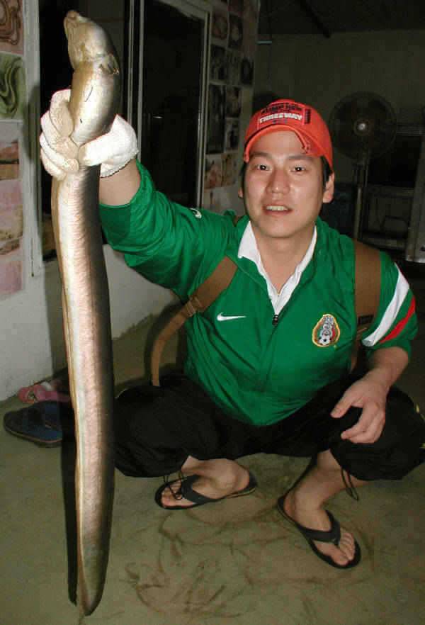 충주호 한가위 선물로 1kg의 대물장어를 낚으셨네요 (조황조행기 - 특파원조황)