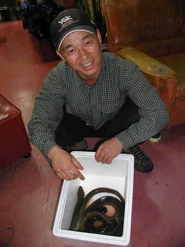 충주호 2627일 장어 붕어조황입니다 (조황조행기 - 특파원조황)