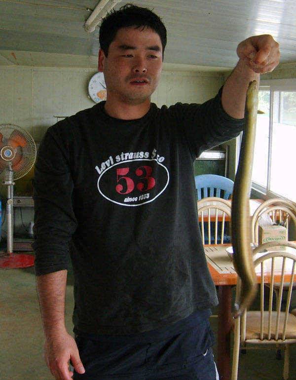 충주호 2627일 장어 붕어조황입니다 (조황조행기 - 특파원조황)