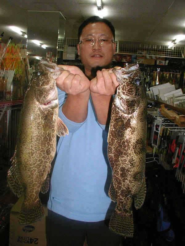 충주호 명서낚시터 조황소식 및 쏘가리 모습입니다 (조황조행기 - 특파원조황)