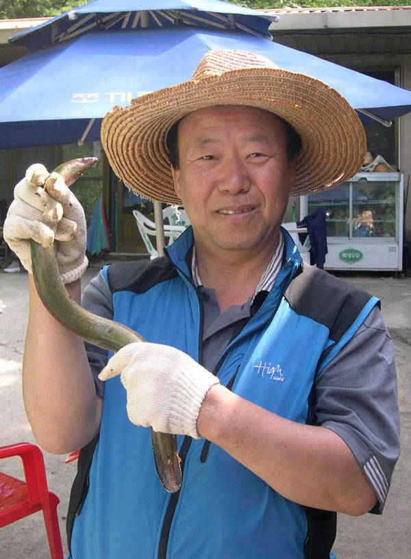 충주호 17일 꽃바위낚시터 장어조황 소식입니다 (조황조행기 - 특파원조황)
