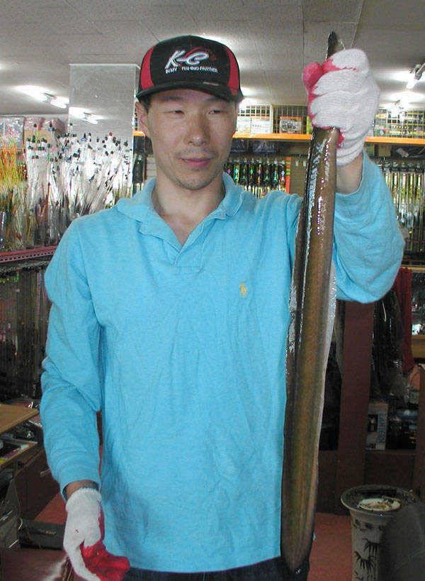 충주호 44cm대물붕어 및 장어조황 소식입니다 (조황조행기 - 특파원조황)