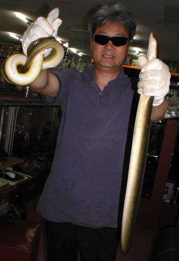 충주호 장어낚시가 대박 수준이네요 (조황조행기 - 특파원조황)