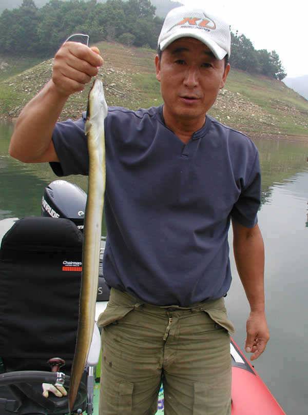충주호 대박에 대박조황 양어장이 따로 없네요 (조황조행기 - 특파원조황)