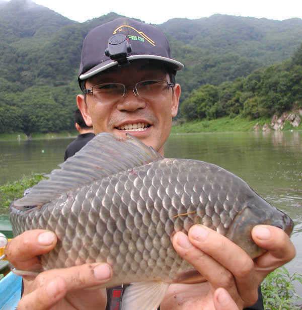 충주호 노지에서는 38cm 대물붕어 좌대에는 4자 등 폭팔조황 (조황조행기 - 특파원조황)