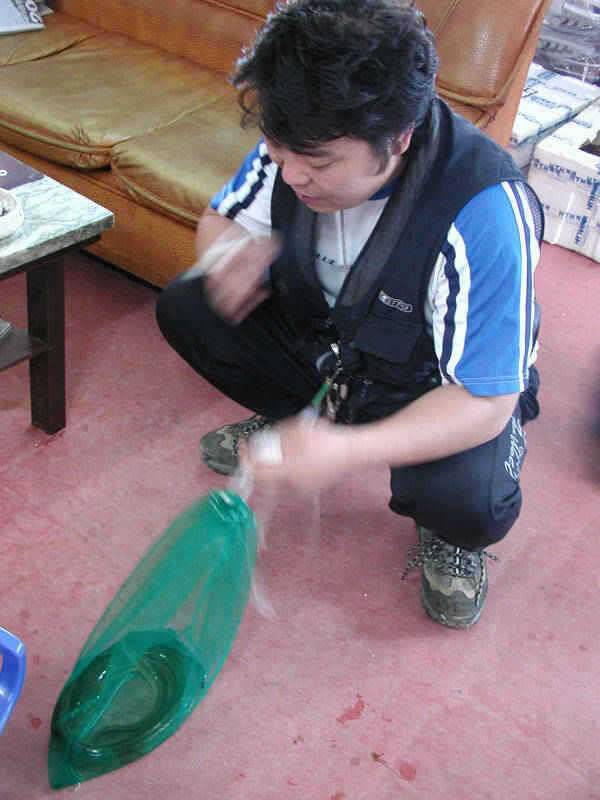 충주호 장어낚시 소식입니다 (조황조행기 - 특파원조황)