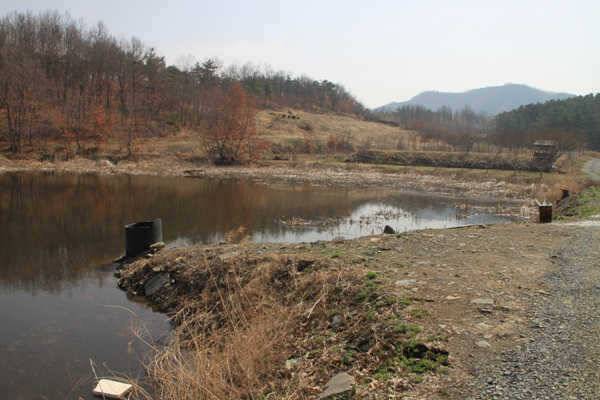 자인권 전체적으로 산란시작 (조황조행기 - 특파원조황)