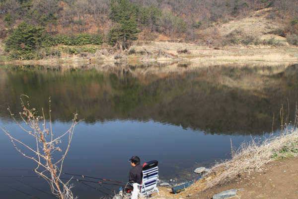 자인권 전체적으로 산란시작 (조황조행기 - 특파원조황)